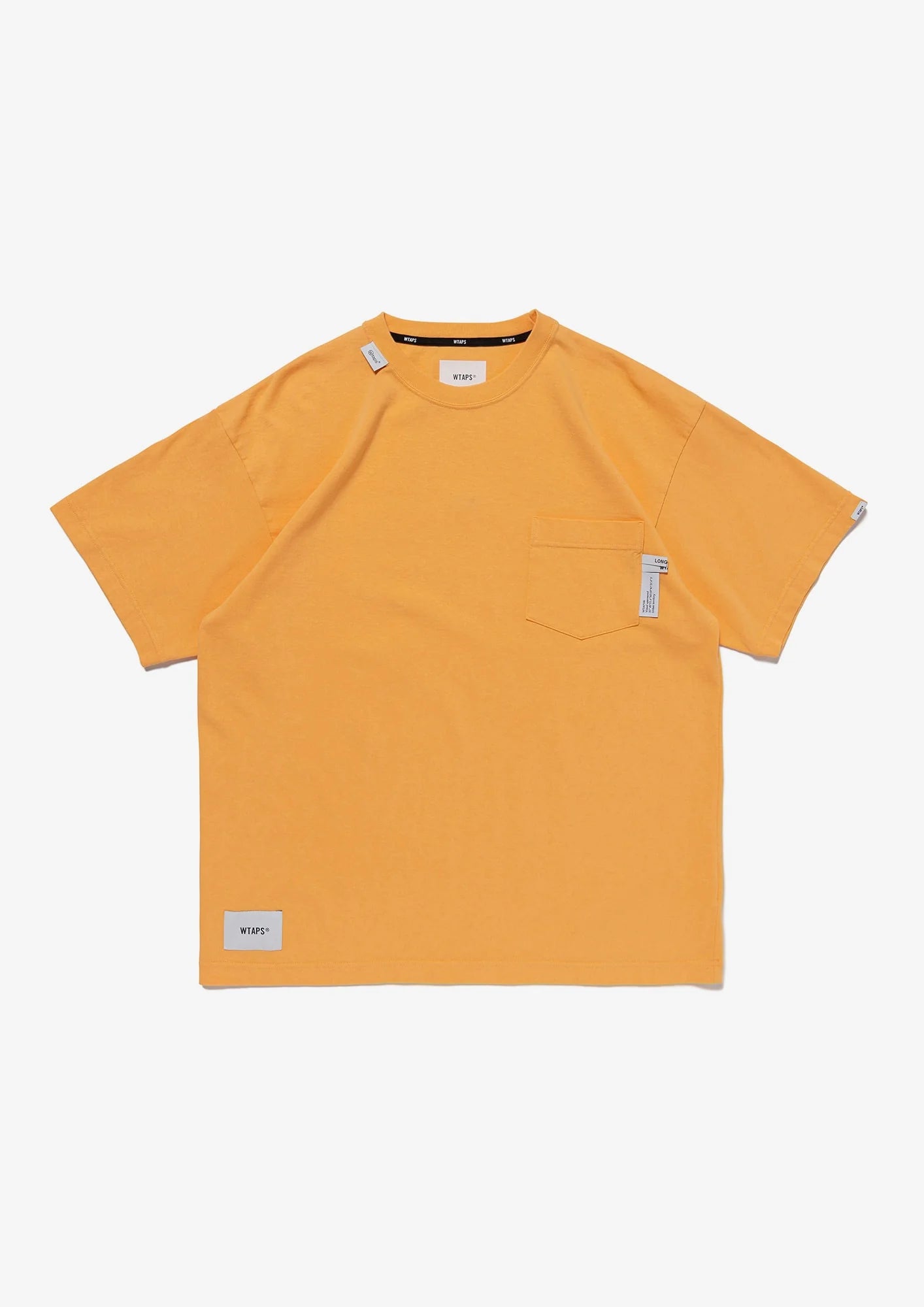 INSECT / SS / COTTON
